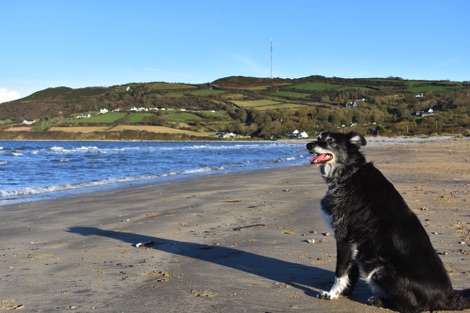 Red Wharf Bay